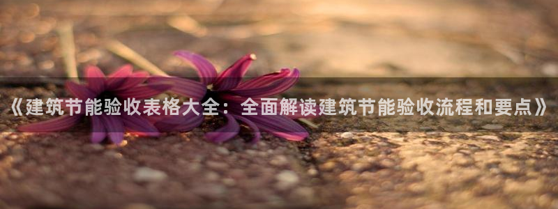 谁知道e尊国际的网址：《建筑节能验收表格大全：全面解读建筑节能验收流程和要点》
