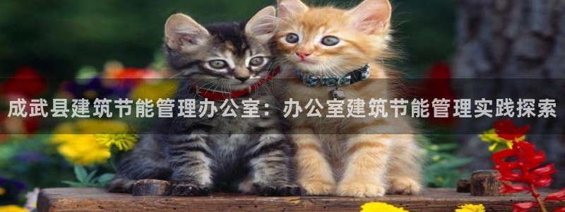 e尊国际-可可计划：成武县建筑节能管理办公室：办公室建筑节能管理实践探索