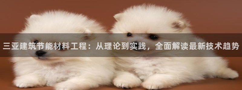 e尊国际的手机登录网站
