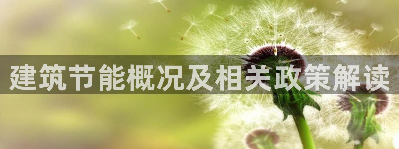 e尊国际地址