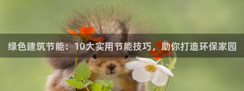 e尊国际平台