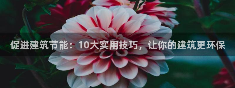 e尊国际地址