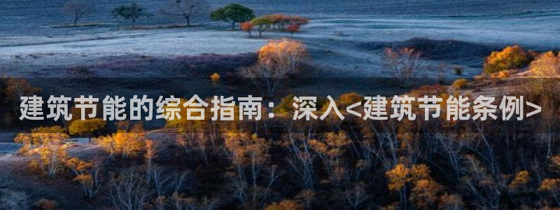 谁知道e尊国际的网址