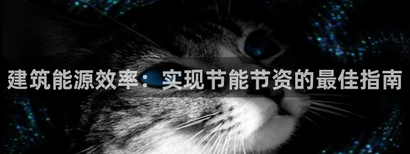 e尊国际地址