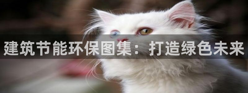 e尊国际客户端