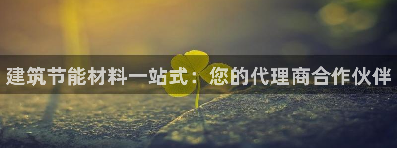 e尊国际娱乐官网地址：建筑节能材料一站式：您的代理商合作伙伴
