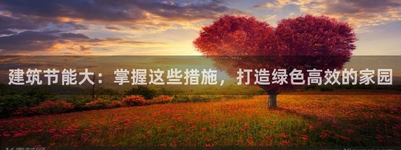 谁知道e尊国际的网址：建筑节能大：掌握这些措施，打造绿色高效的家园