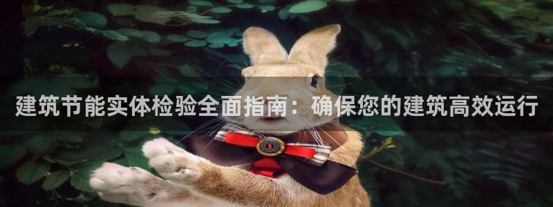 e尊平台：建筑节能实体检验全面指南：确保您的建筑高效运行