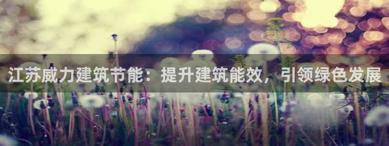 e尊国际是个黑网：江苏威力建筑节能：提升建筑能效，引领绿色发展