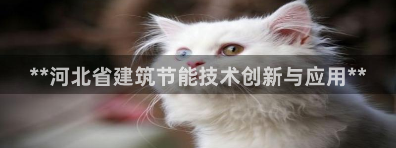 e尊国际可靠吗：**河北省建筑节能技术创新与应用**