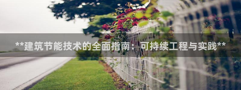 尊亿游戏国际官网：**建筑节能技术的全面指南：可持续工程与实践**