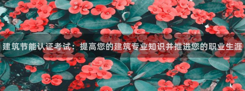 尊亿娱乐国际官网：建筑节能认证考试：提高您的建筑专业知识并推进您的职业生涯