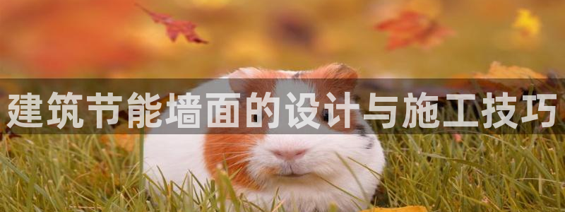 e尊平台：建筑节能墙面的设计与施工技巧