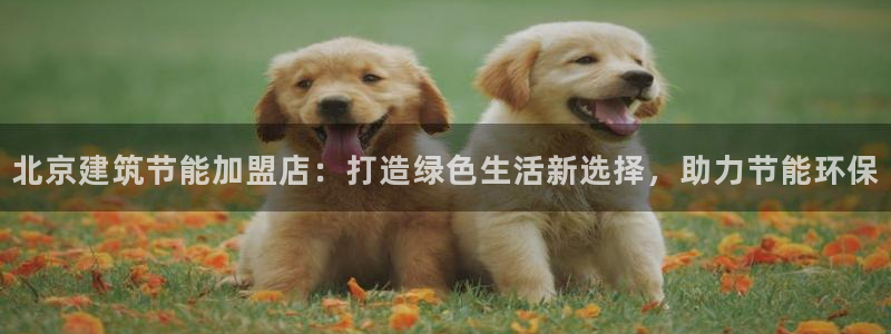 E尊国际：北京建筑节能加盟店：打造绿色生活新选择，助力节能环保