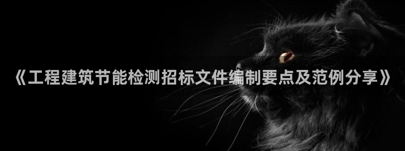 e尊国际可靠吗：《工程建筑节能检测招标文件编制要点及范例分享》