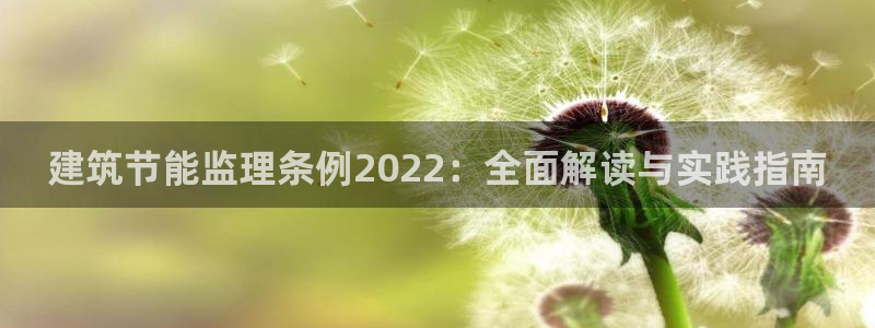 e尊国际平台：建筑节能监理条例2022：全面解读与实践指南