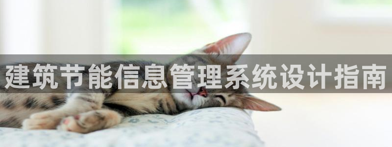 e尊国际-e尊国际官网：建筑节能信息管理系统设计指南