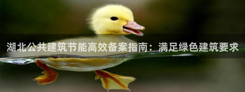 E尊国际网站：湖北公共建筑节能高效备案指南：满足绿色建筑要求