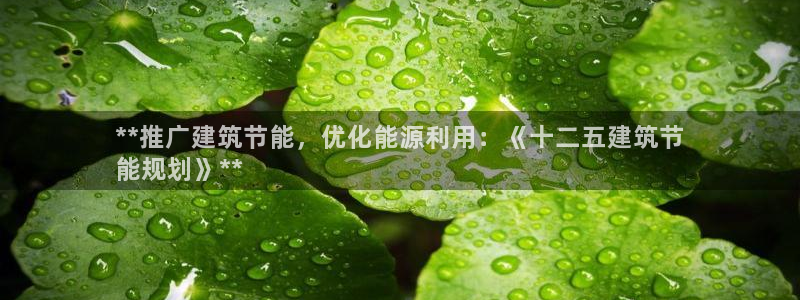 e尊平台：**推广建筑节能，优化能源利用：《十二五建筑节
能规划》**
